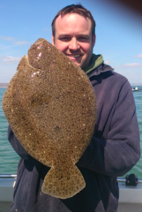 Pb brill