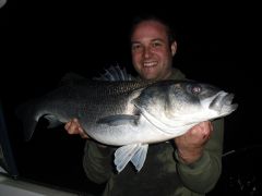 12lb 12oz