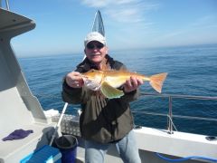 Wills nice Gurnard