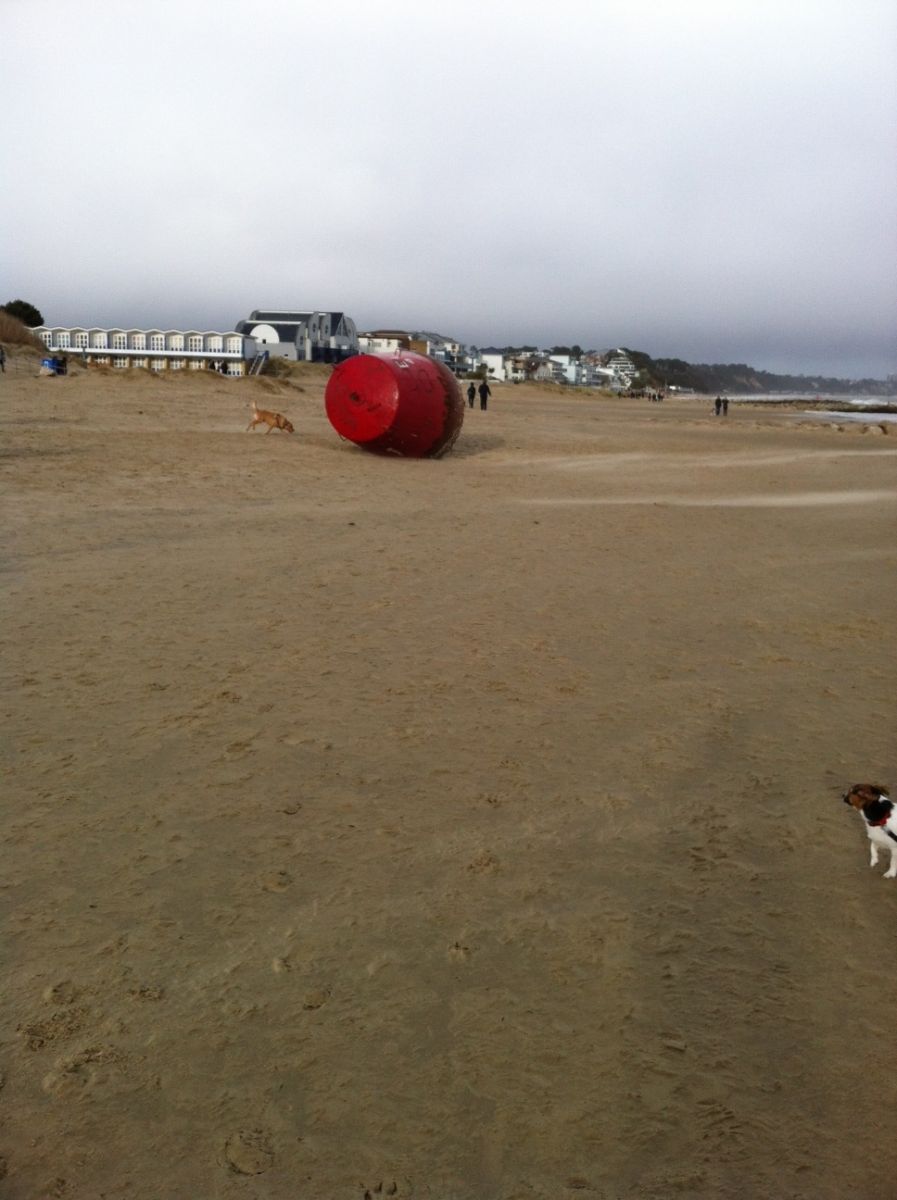 odds-and-sods-poole-bay-small-boat-angling-club