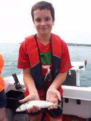 Thomas Mackerel