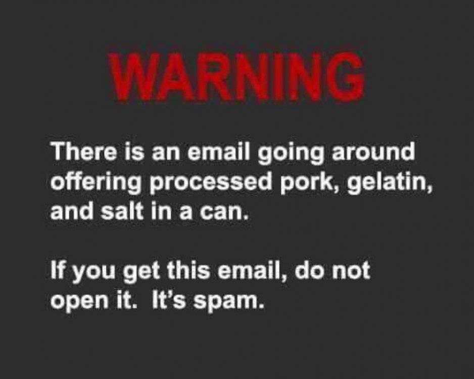 SPAM Warning.jpg