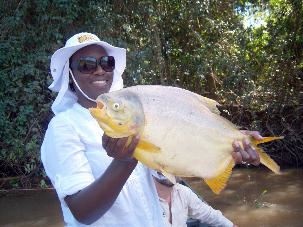 Pacu.jpg