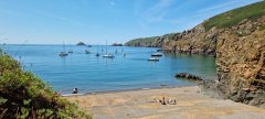 Tigerfish and yachts Dixcart bay Sark.jpg