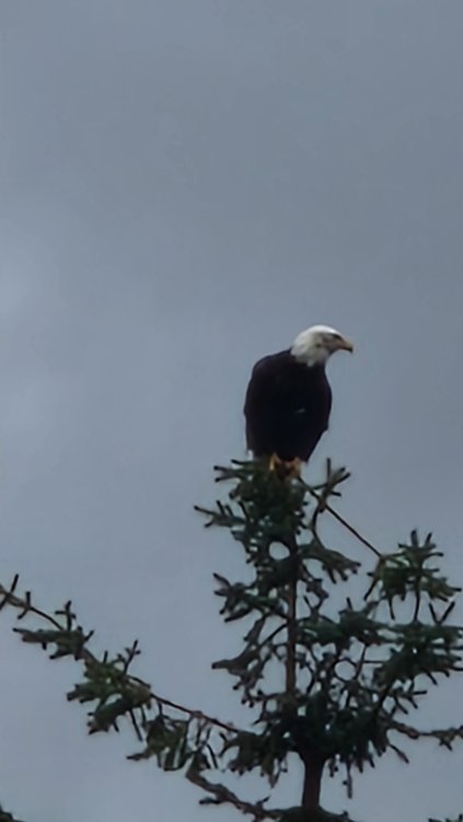20250923_152231.thumb.jpg.a1a9aa40e391932a6f9c4636b808b6ad.jpg