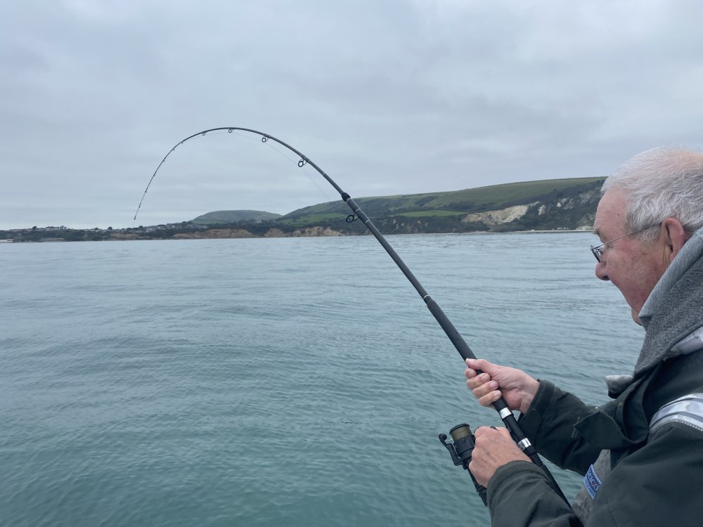 IMG_7906.jpeg