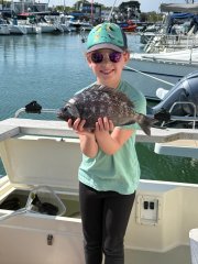 Violet 2-3 bream.jpeg